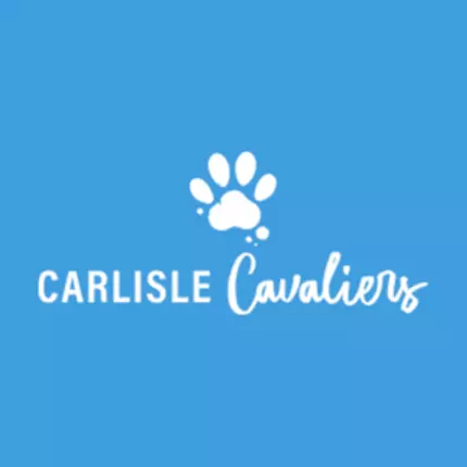 Logo od Carlisle Cavaliers