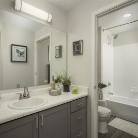 Bright Bathroom at Trevi Apartments