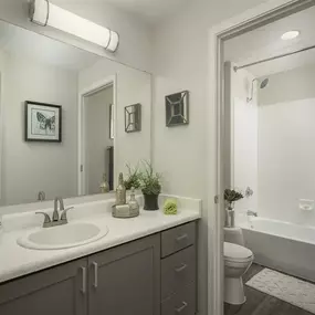 Bright Bathroom at Trevi Apartments