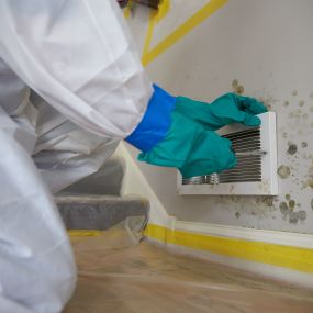 Mold remediation inspecting a mold-infested vent