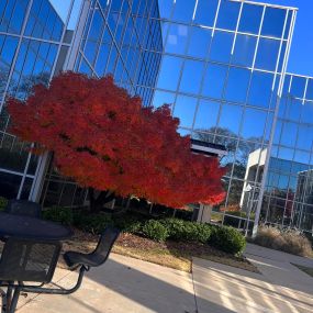 Park Place commercial building with a tree out front