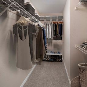 Walk-in closet with shelves and carpet at Camden Addison apartments in Addison, Tx