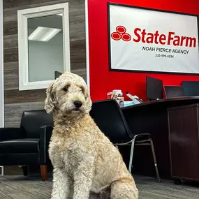 Noah Pierce - State Farm Insurance Agent