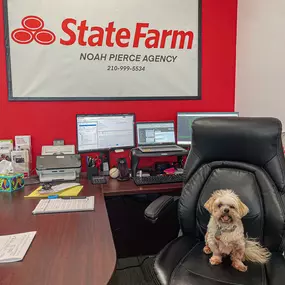 Noah Pierce - State Farm Insurance Agent