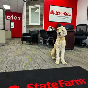 Noah Pierce - State Farm Insurance Agent