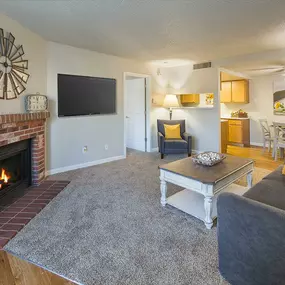 Modern Living Room with TV