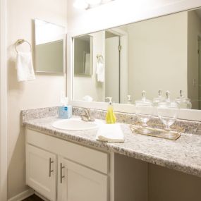 bathroom  at Edgemont Apartment Homes in Greenville, SC