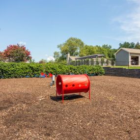 dog park at Edgemont Apartment Homes in Greenville, SC