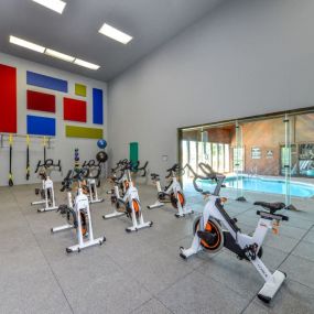 Indoor Spin Room with 7 Bikes, Kettle Bells, Exercise Balls, Yoga Mats and View of the Indoor Pool