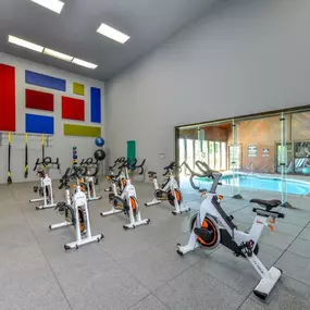 Indoor Spin Room with 7 Bikes, Kettle Bells, Exercise Balls, Yoga Mats and View of the Indoor Pool