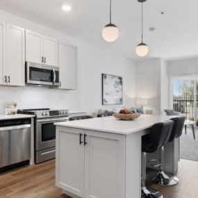 Modern Kitchen with Stainless Steel Appliances