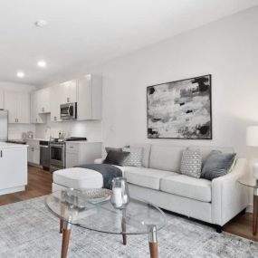 Luxurious Open Kitchen and Living Room