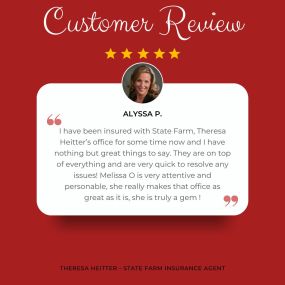 Theresa Heitter - State Farm Insurance Agent