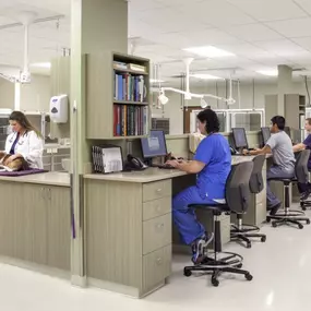 Bild von Austin Veterinary Emergency and Specialty