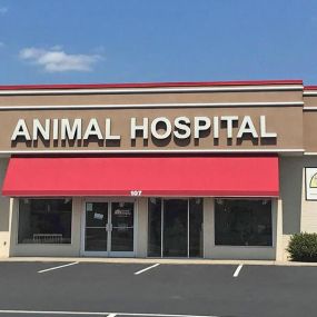 Bild von Animal Hospital of Pitt County