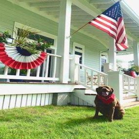Happy Independence Day from Millie and the rest of the Zac Jones State Farm team