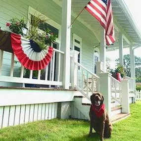 Happy Independence Day from Millie and the rest of the Zac Jones State Farm team