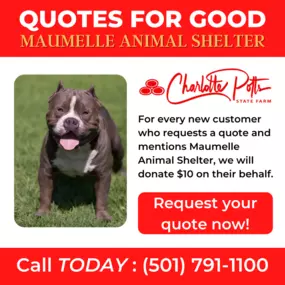 Charlotte Potts - State Farm Insurance Agent is donating $10 to Maumelle Animal Shelter for every eligible quote provided during the month of February 2022! We have two convenient locations to stop by or call our office for your free insurance quote. Reach out to us today!