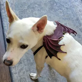 Anther happy customer flying out of the shop with her new wings (that match her Mom's!)