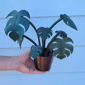 ????Finally, a plant that even I can keep alive! This lovely 7 stem monstera is hand-stitched and completely crafted of full grain leather. No watering required! ???? Message for pre-orders, available in-store starting March 22nd.