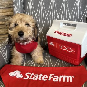 Mike Kelley - State Farm Insurance Agent