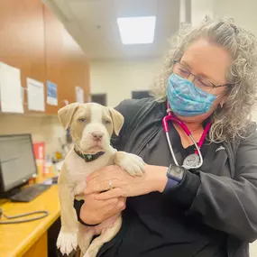 Bild von Chandler Gilbert Animal Hospital