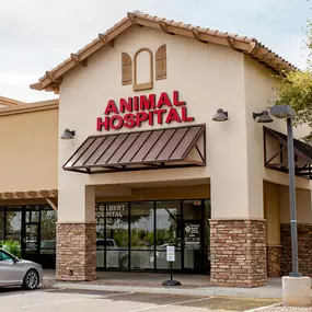 Chandler Gilbert Animal Hospital