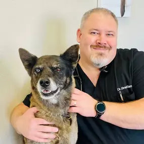 Bild von Chandler Gilbert Animal Hospital