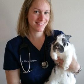 Bild von White Rock Veterinary Hospital