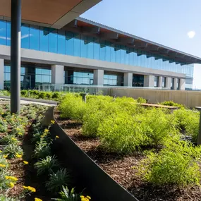 In partnership with DPR Construction and Corgan Associates, NOW Specialties delivered the NOW-3100 gasket-sealed system for Charles Schwab’s flagship campus. This project showcases crisp modern detailing, exceptional weather performance, and a refined architectural finish.