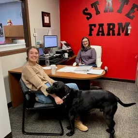 Renae Haug - State Farm Insurance Agent