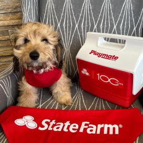 Chanse Meylan - State Farm Insurance Agent