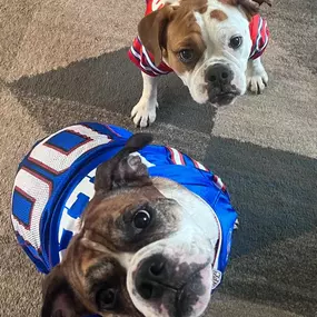 Happy National Dress Up your Pet day! Here is a photo of our team member Nicole’s dogs to celebrate the day! Post a picture of your dressed up fur(or furless) family in the comments to help celebrate today!!????????????????????????????????????‍⬛????‍???????? 
Did you know we can cover you & your pets if the unexpected happens! Inquire today if you would like to find out more!! 803-788-2884