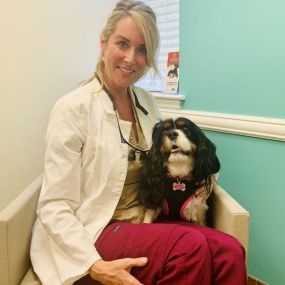 Bild von Florida Veterinary Referral Center – Emergency and Specialty Care