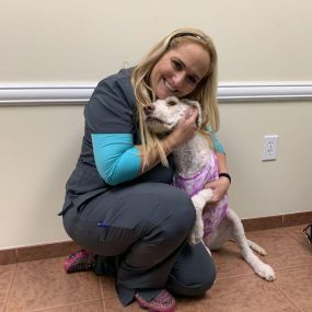 Bild von Florida Veterinary Referral Center – Emergency and Specialty Care