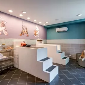 Pet Spa