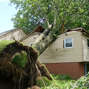 Bild von Ohio Roofing & Restoration Solutions