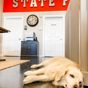 Sandy is just trying to get through the week! Happy Monday from our State Farm Agency to you!