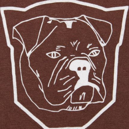 Logo od First-Prime-Bulls
