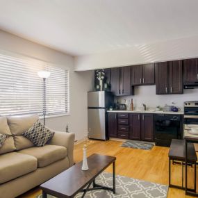 Living Room and Kitchen