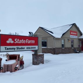 Tammy Sluder State Farm Insurance Agent - Interior