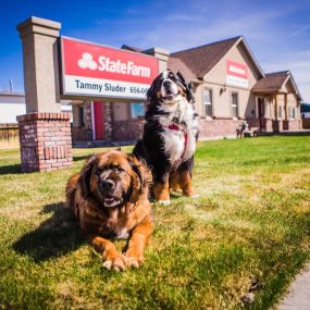 Tammy Sluder State Farm Insurance Agent - Office Pets