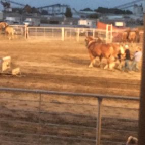 Tammy Sluder State Farm Insurance Agent - Rodeo