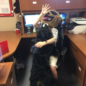 Tammy Sluder State Farm Insurance Agent - Office Pet