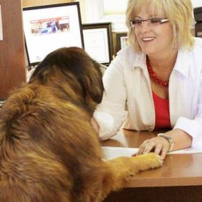 Tammy Sluder State Farm Insurance Agent - Office Pet