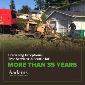 #1 tree arborist, tree removal service, tree trimming, tree pruning, stump grinding, tree service company serving the Kirkland, Bothell, Woodinville, Monroe, Kenmore, Bellevue, and Washington. Aadam’s Tree Service is founded on honesty, integrity. We are highly qualified tree professionals.