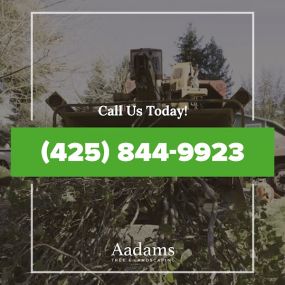 #1 tree arborist, tree removal service, tree trimming, tree pruning, stump grinding, tree service company serving the Kirkland, Bothell, Woodinville, Monroe, Kenmore, Bellevue, and Washington. Aadam’s Tree Service is founded on honesty, integrity. We are highly qualified tree professionals.