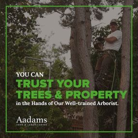 #1 tree arborist, tree removal service, tree trimming, tree pruning, stump grinding, tree service company serving the Kirkland, Bothell, Woodinville, Monroe, Kenmore, Bellevue, and Washington. Aadam’s Tree Service is founded on honesty, integrity. We are highly qualified tree professionals.