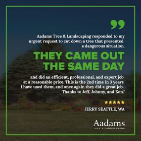 #1 tree arborist, tree removal service, tree trimming, tree pruning, stump grinding, tree service company serving the Kirkland, Bothell, Woodinville, Monroe, Kenmore, Bellevue, and Washington. Aadam’s Tree Service is founded on honesty, integrity. We are highly qualified tree professionals.