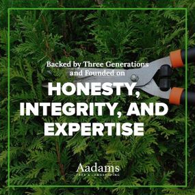 #1 tree arborist, tree removal service, tree trimming, tree pruning, stump grinding, tree service company serving the Kirkland, Bothell, Woodinville, Monroe, Kenmore, Bellevue, and Washington. Aadam’s Tree Service is founded on honesty, integrity. We are highly qualified tree professionals.